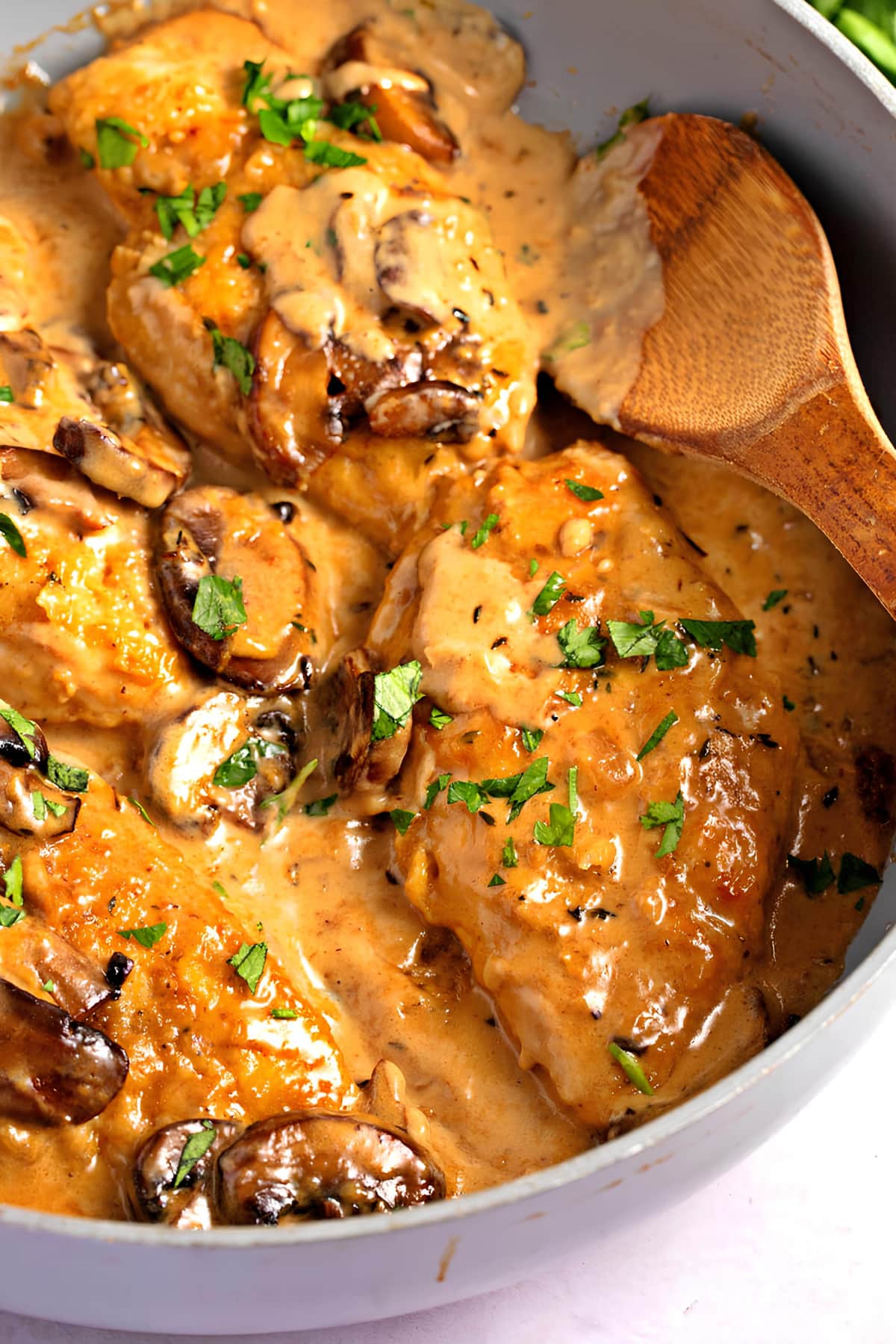 Chicken Marsala with creamy sauce in a pan