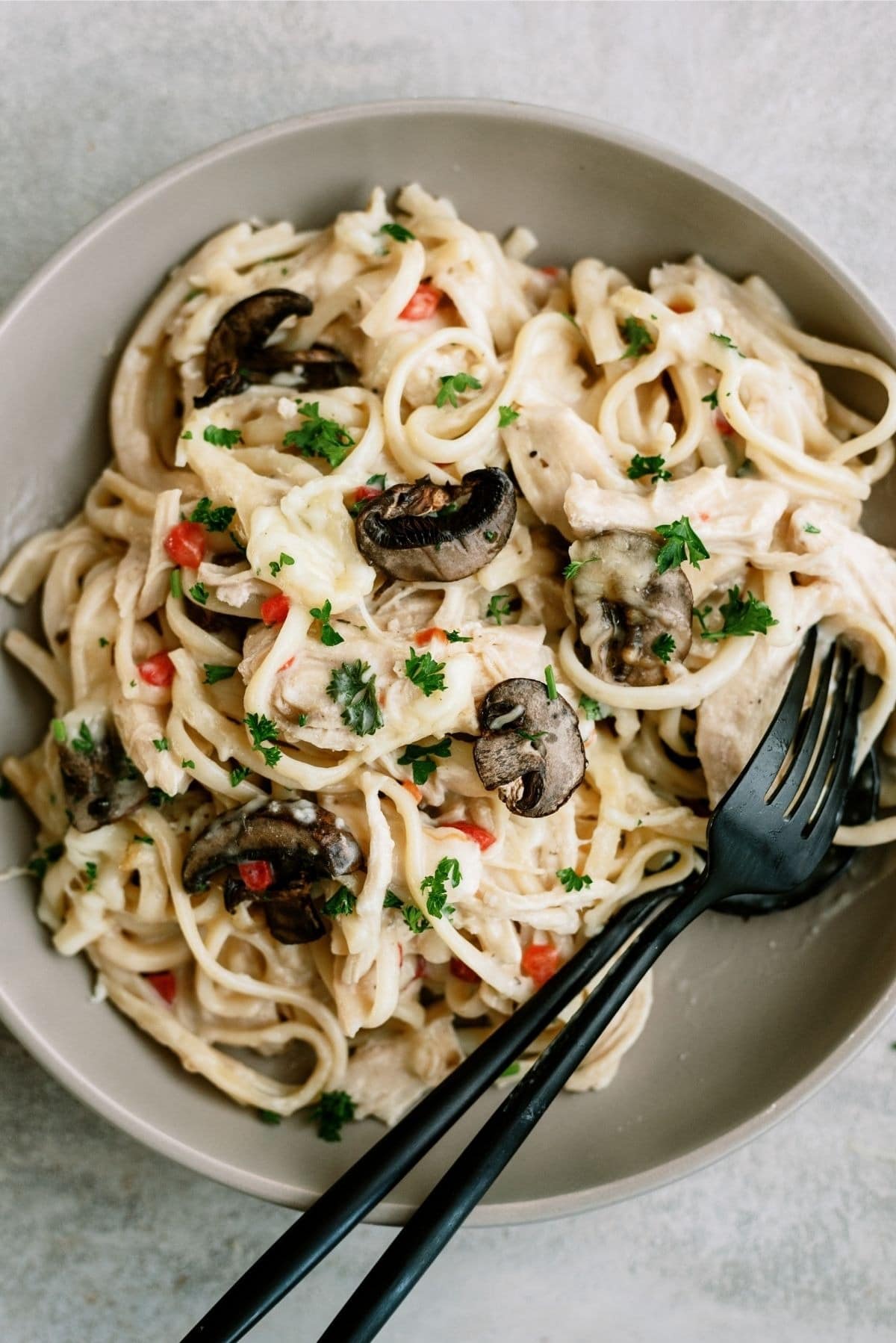 Pasta cooked with creamy sauce, mushroom, shredded chicken and chopped herbs served on a white plate. 