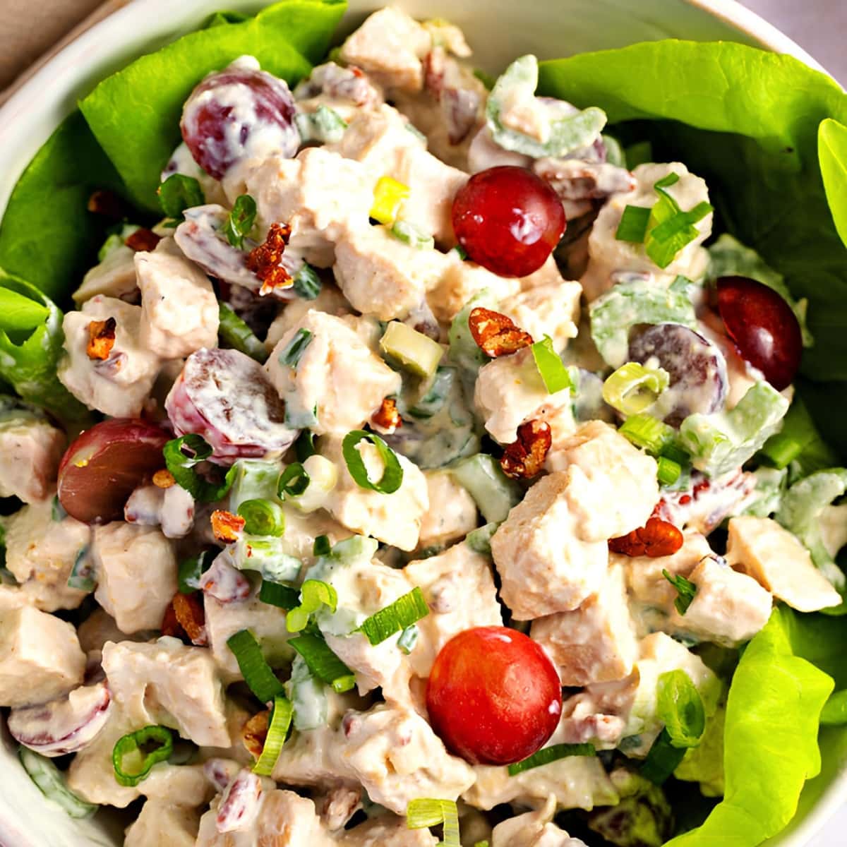 Closeup of chicken salad with Greek yogurt served on a white bowl with chopped pecans, grapes, onions, and celery stalk. 