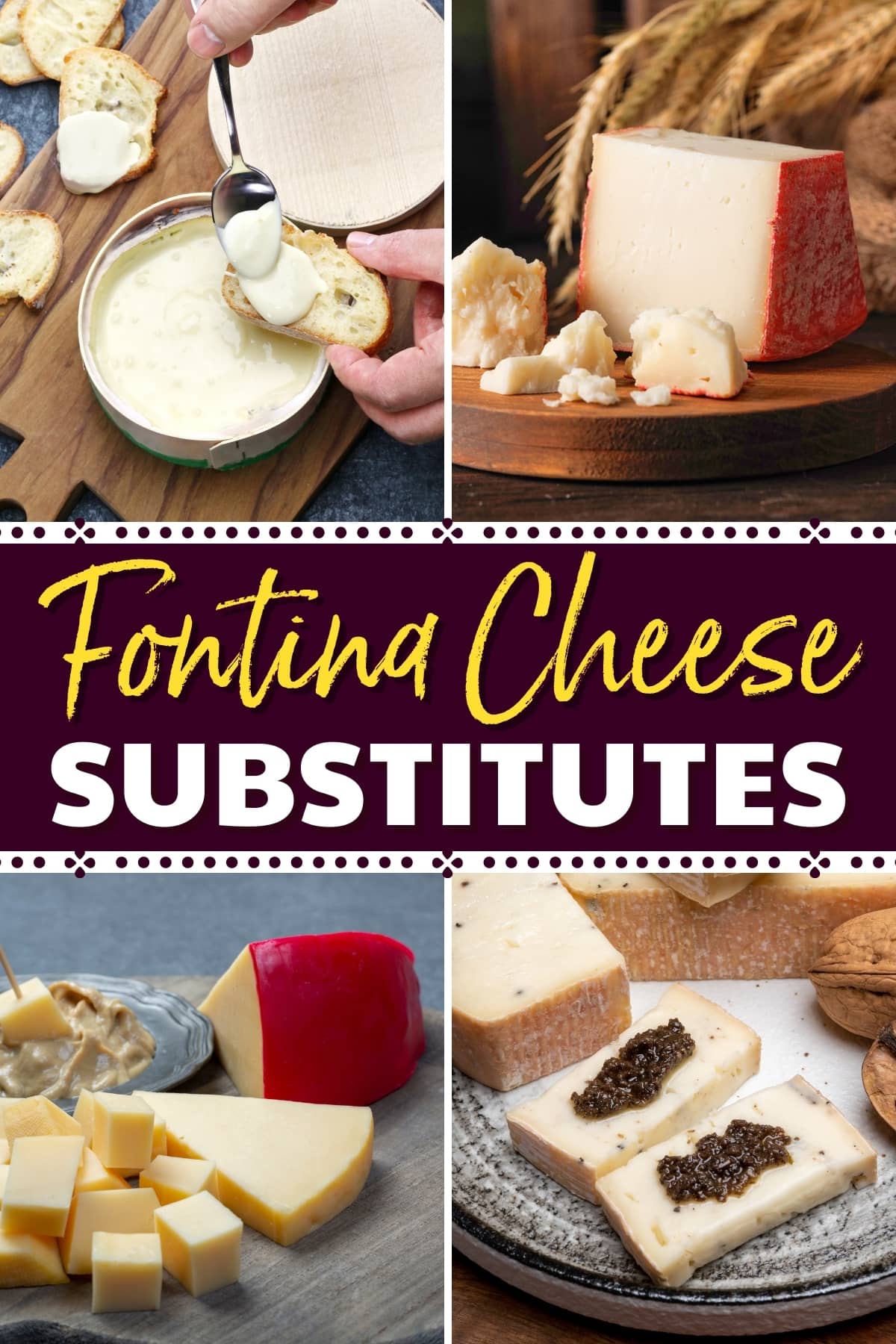 Fontina Cheese Substitutes