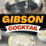 Gibson Cocktail