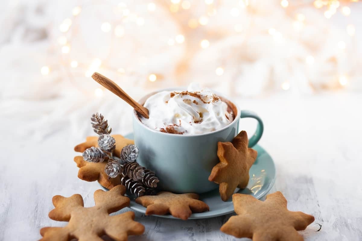 Latte in a blue mug topped with whipped cream with pieces of star shaped gingerbread cookies on side. 