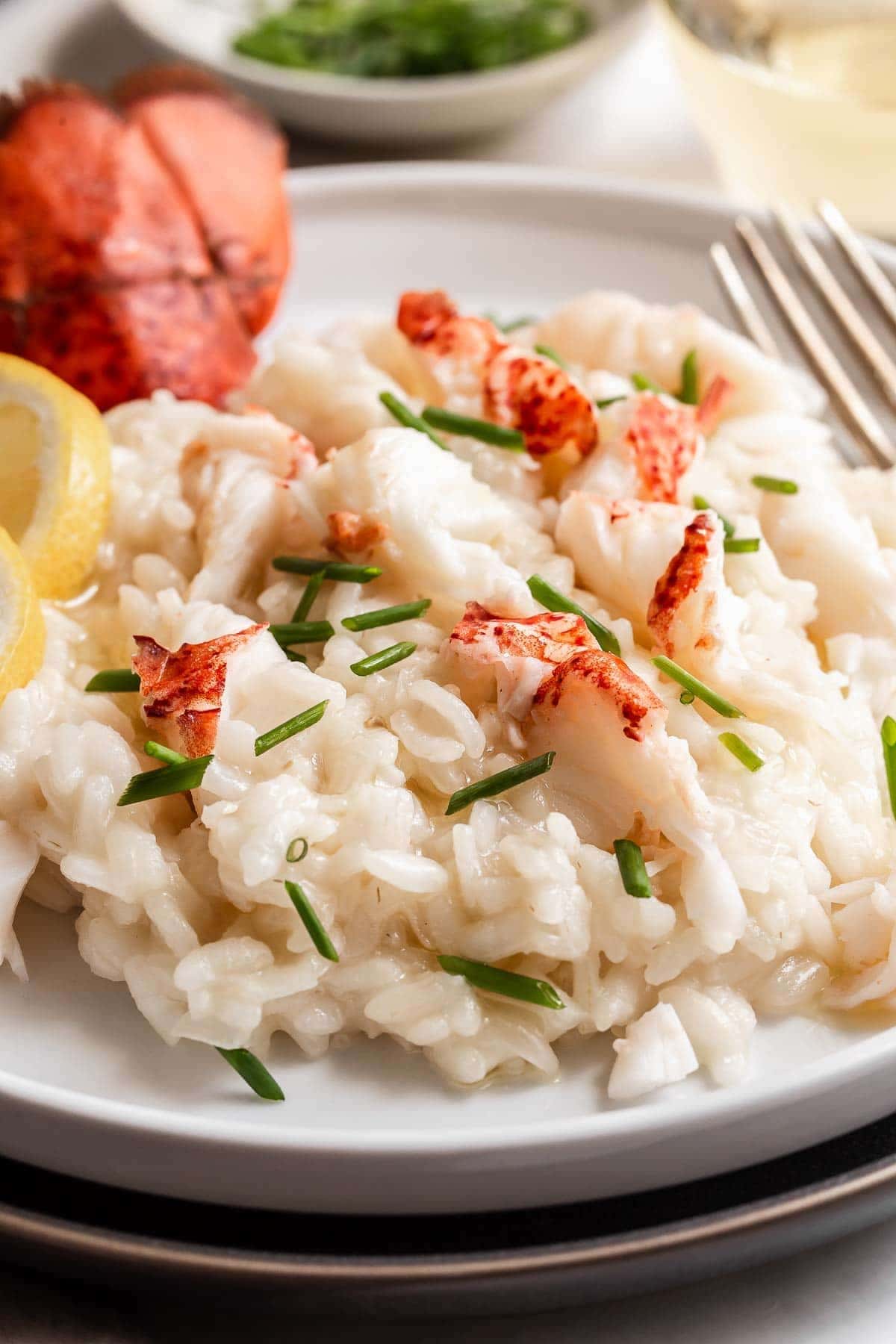 A portion serving of lobster risotto on plate. 