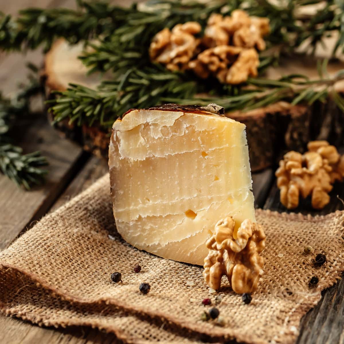 Montasio Cheese with Walnuts and Peppercorns on a Piece of Burlap Cloth and Pine Boughs in the Background