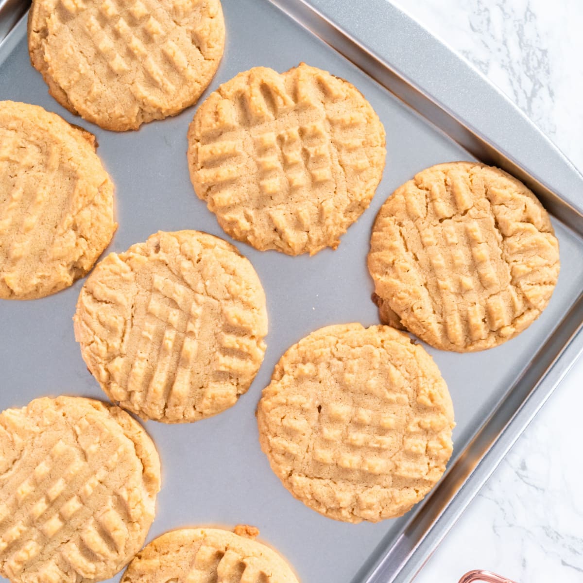 Peanut butter cookies on sheet pan.