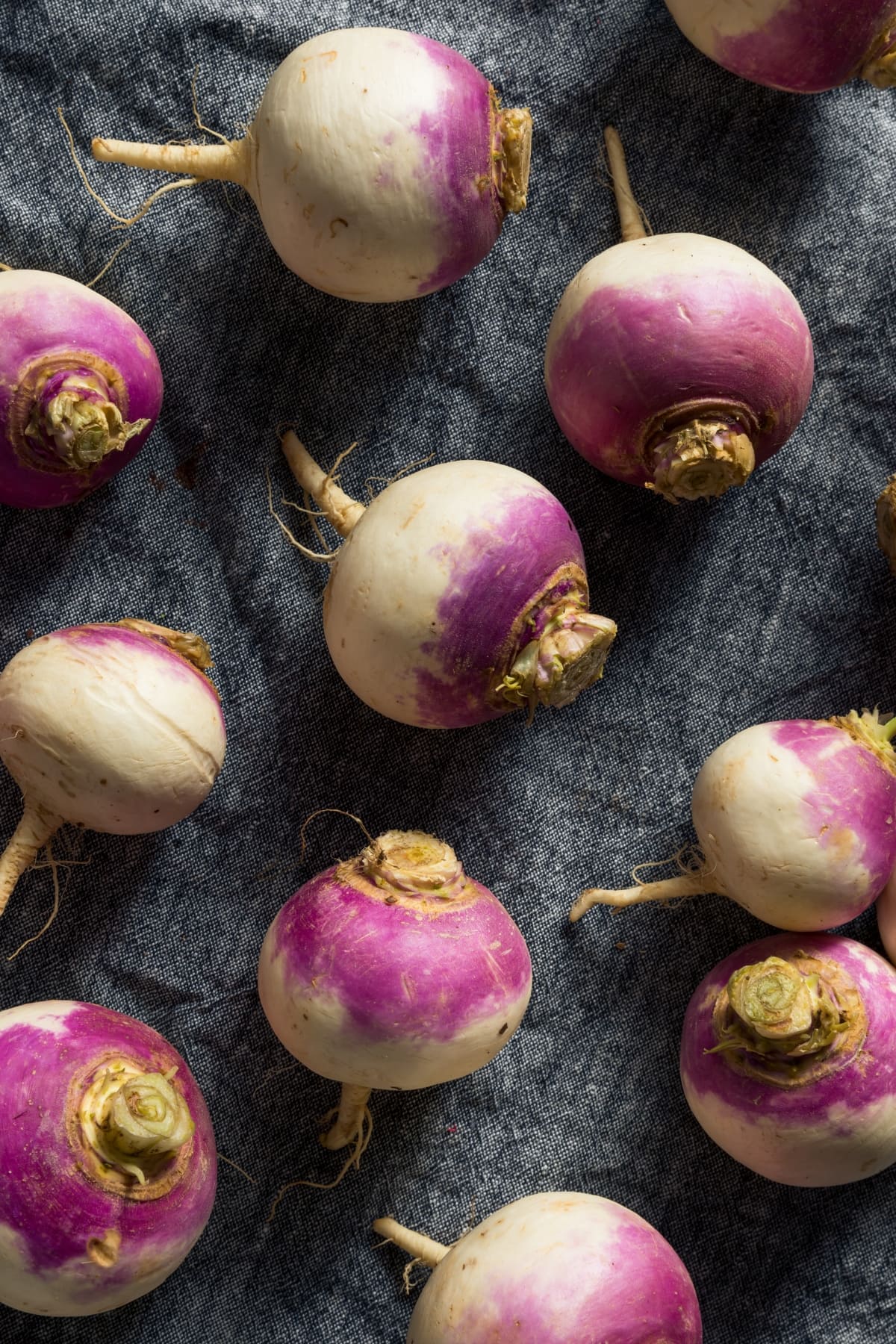 A group of organic purple turnips on a table