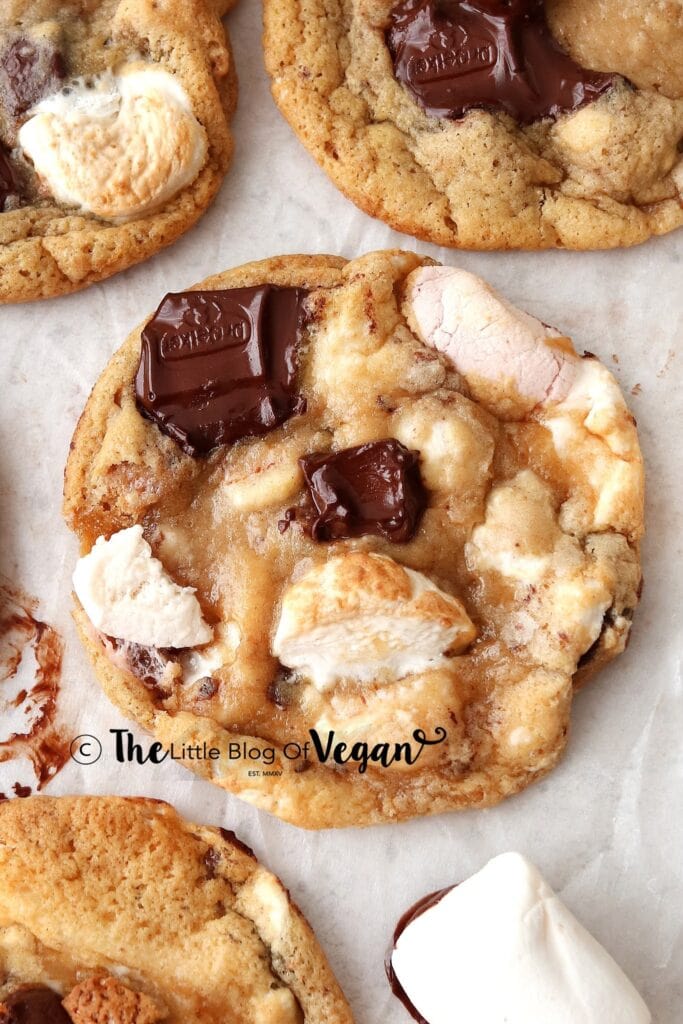 Thin cookies topped with chunks of chocolate and marshmallows. 