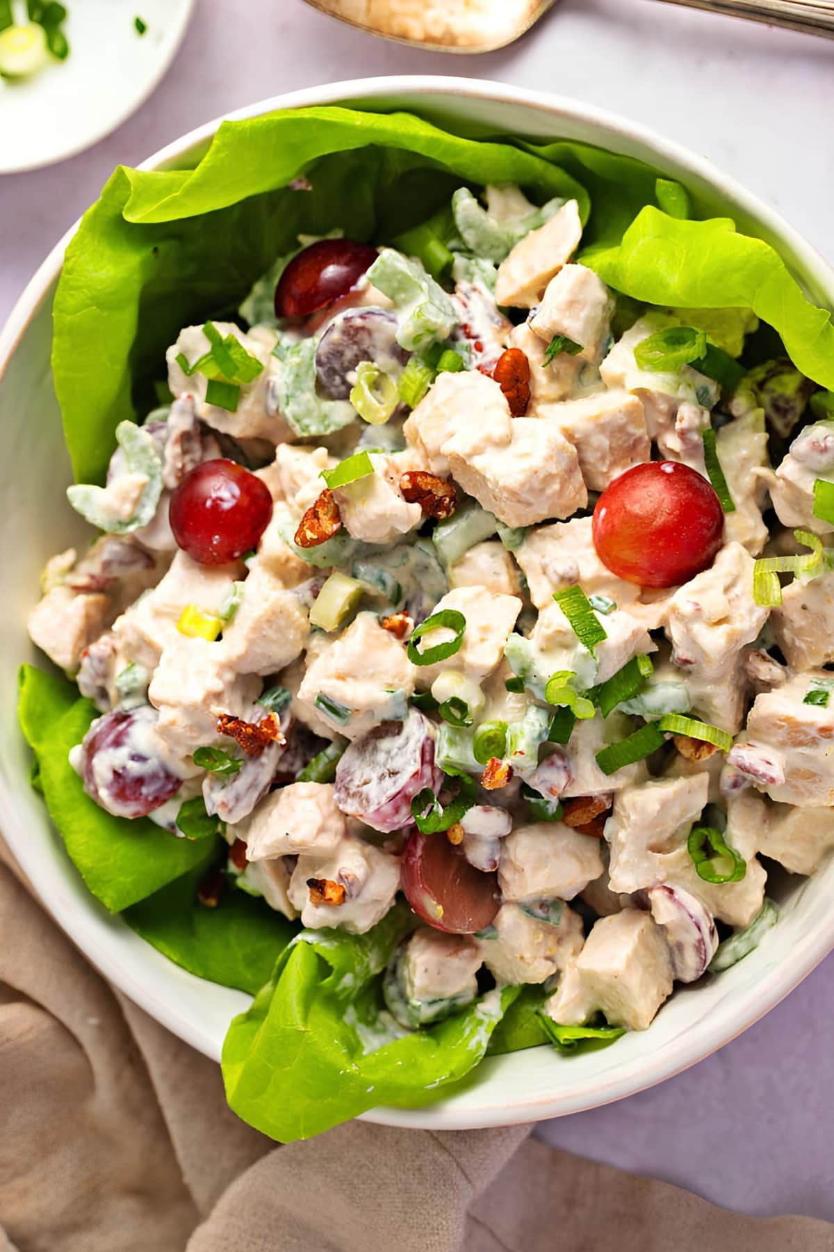 Top view of a bowl of chicken salad with Greek yoghurt dressing. 