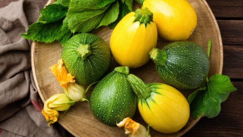 Fresh Green and Yellow Zucchini Top View