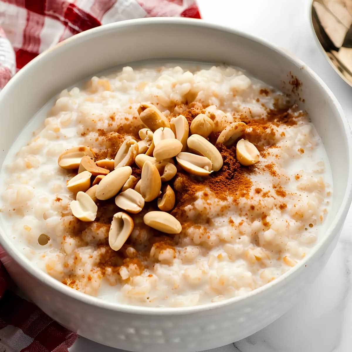 Creamy and delicious mexican rice pudding or arroz con leche with cinnamon and nuts in a white bowl
