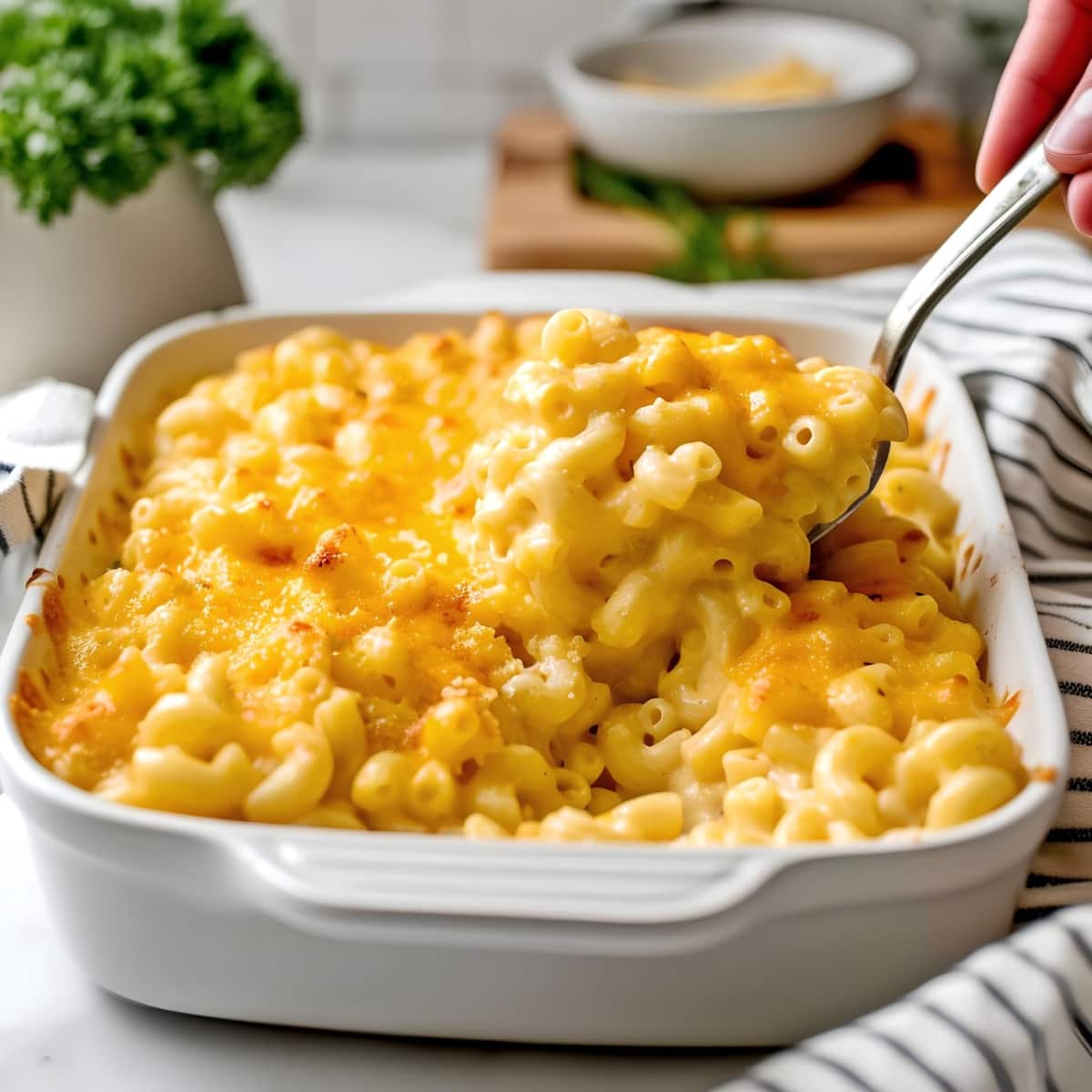 Cheesy Mac and Cheese in a White Casserole