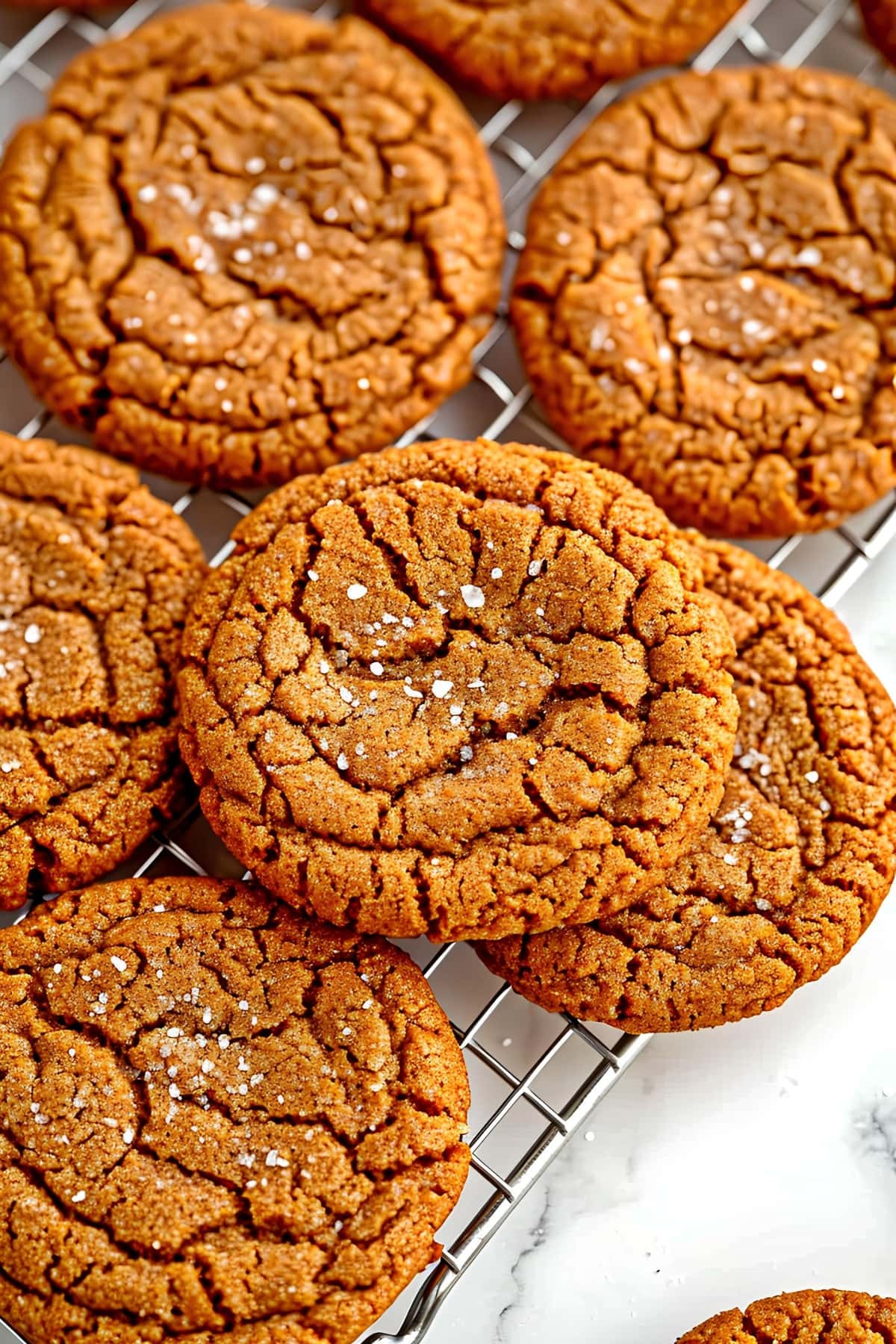 Several ginger cookies on a cooling rack with a grain of sugar