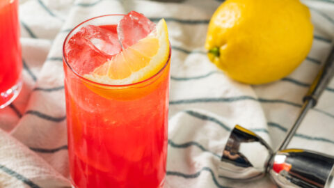 Ice cold sloe gin fizz on a tall glass.