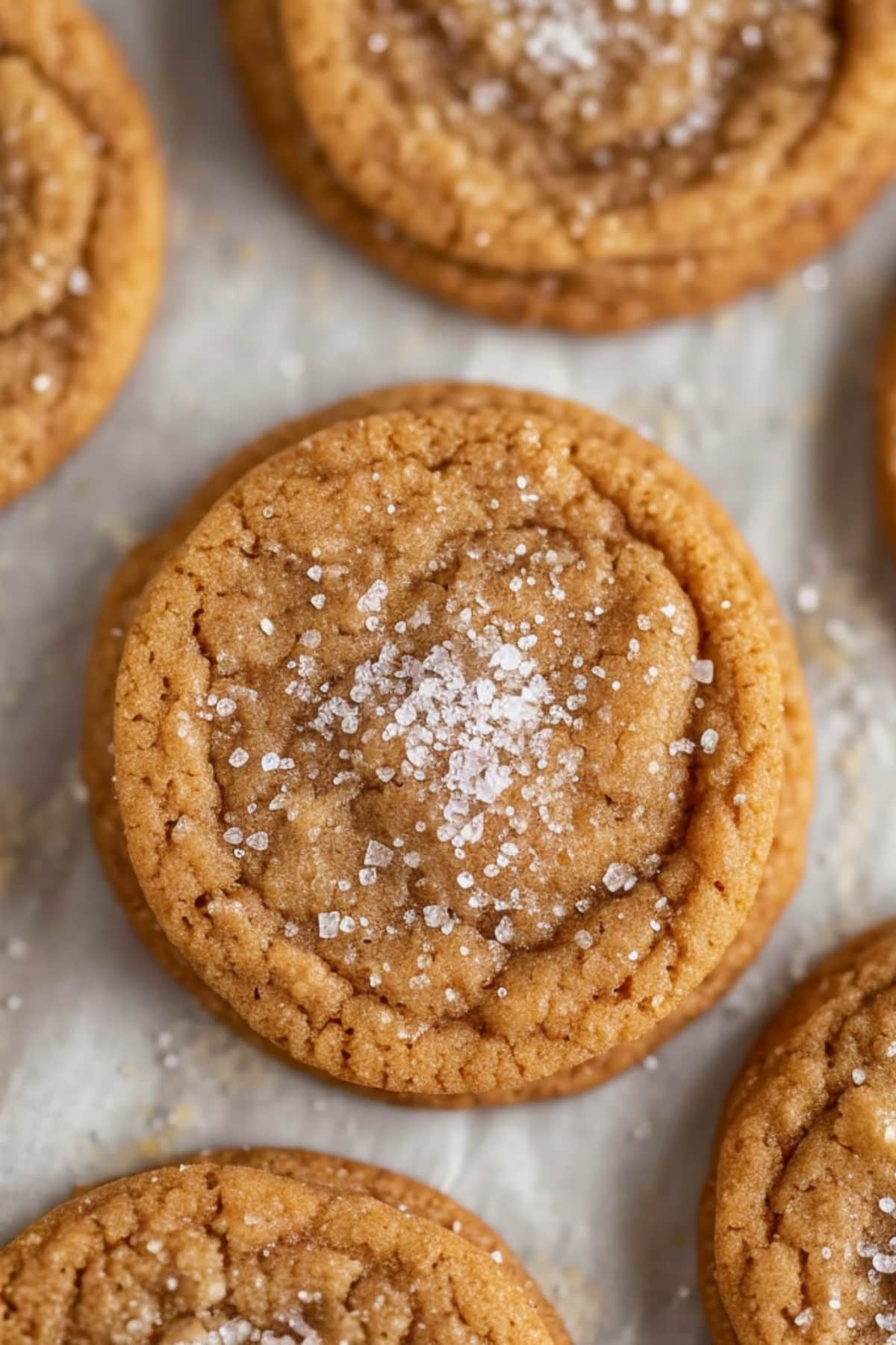 Brown Sugar Cookies with granulated sugar on top, close-up