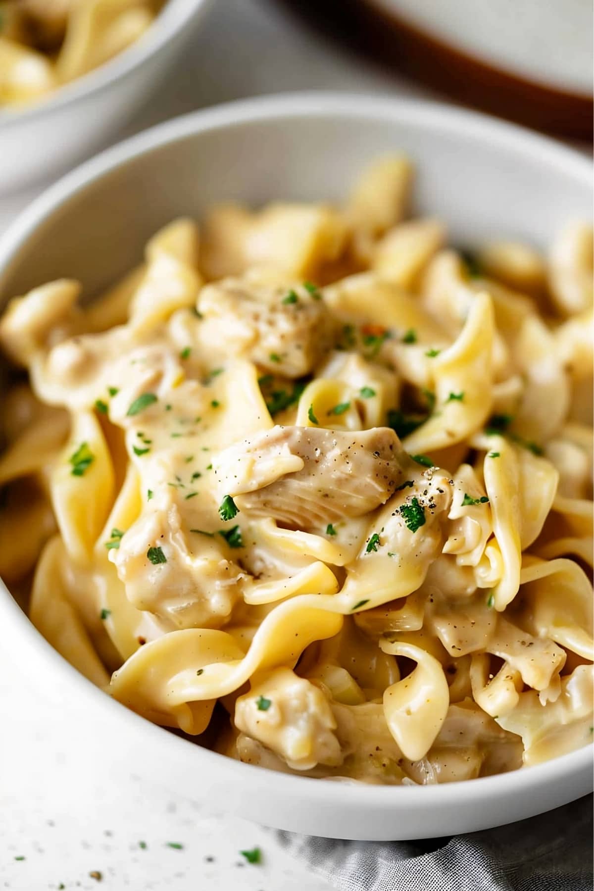 Bowl of creamy chicken and noodles with parsley