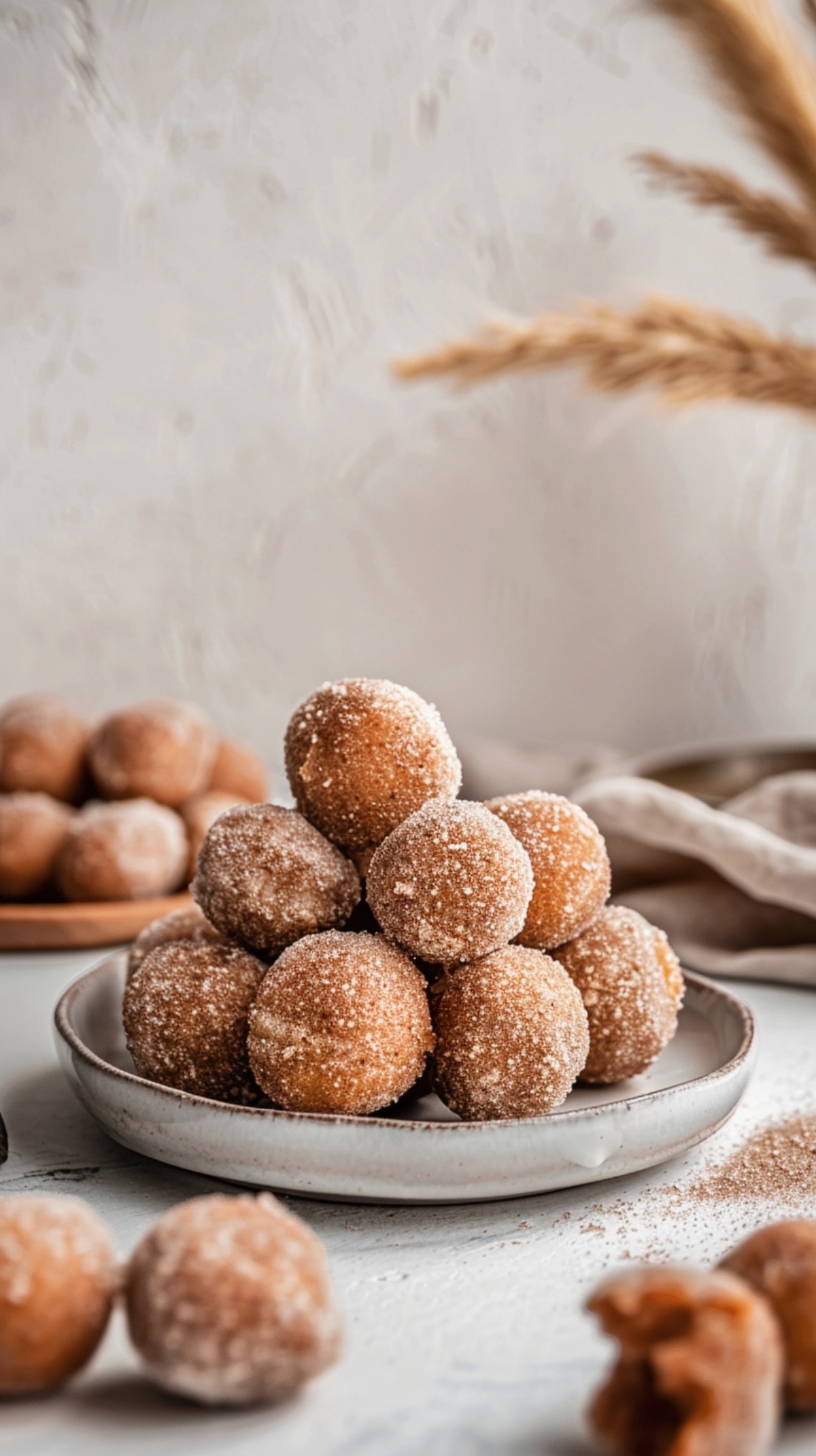 Homemade Donut Holes with cinnamon sugar on a plate
