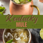 Kentucky Mule Recipe