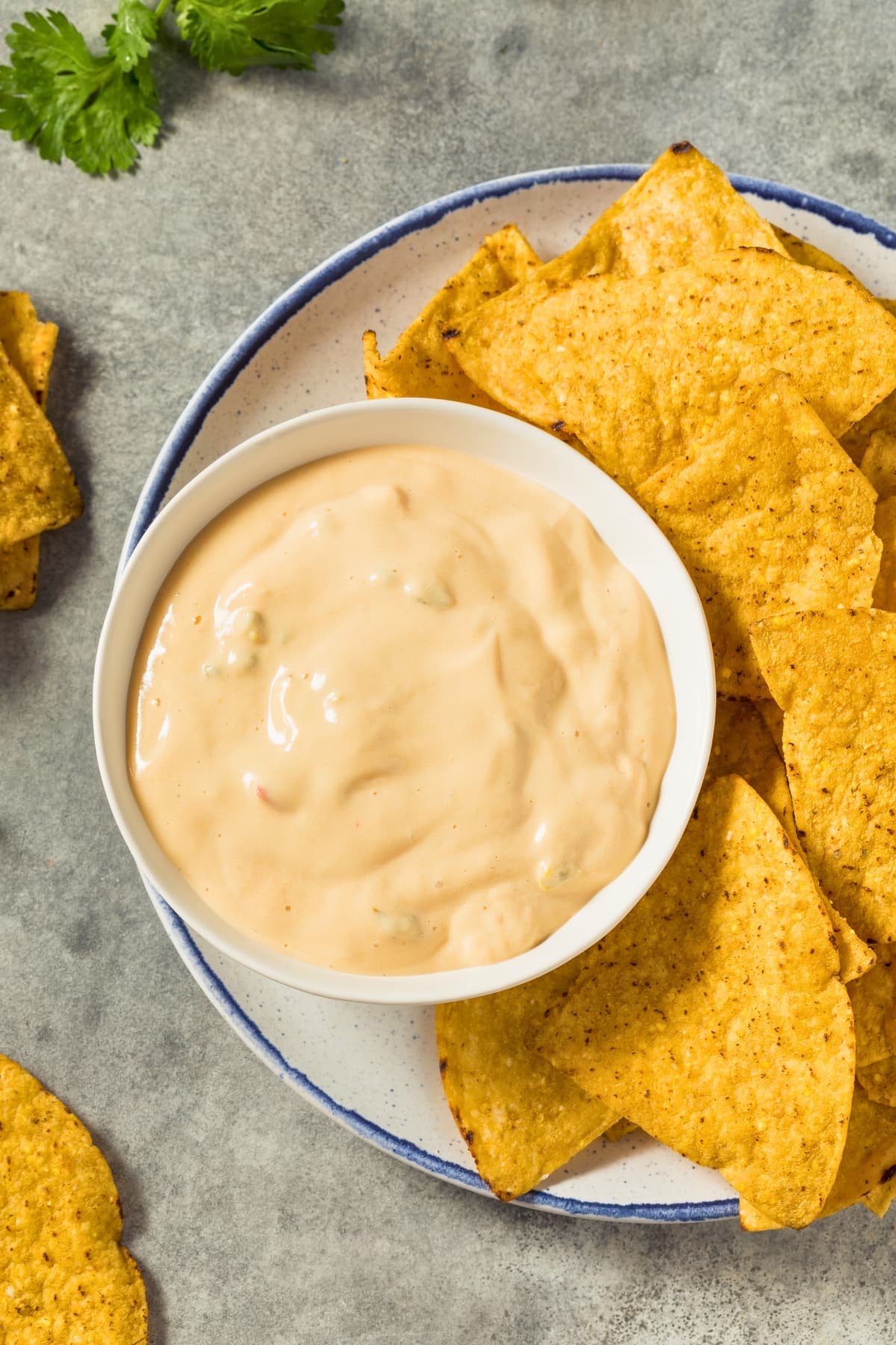 Tortilla chips in a white plate served with queso dip.