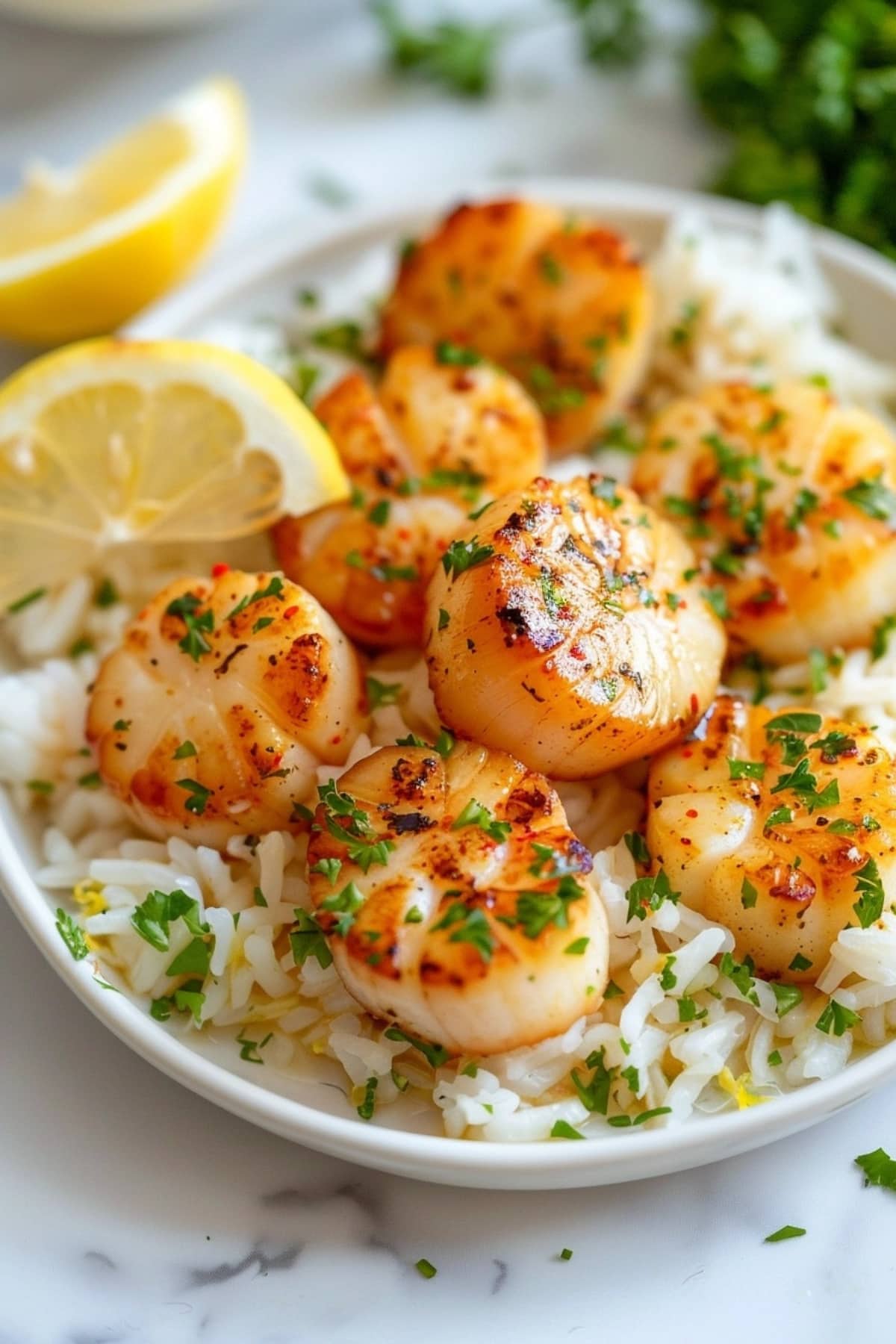 Air fried scallops served on top of white rice in a plate garnished with chopped parsley and lemon wedge.
