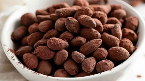 Bowl of chocolate covered almonds rolled in cocoa powder.