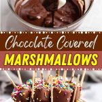 Chocolate covered marshmallows.