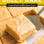 Peanut Butter Sheet Cake Pin