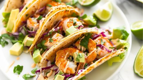 Taco shrimp arranged in a white plate.