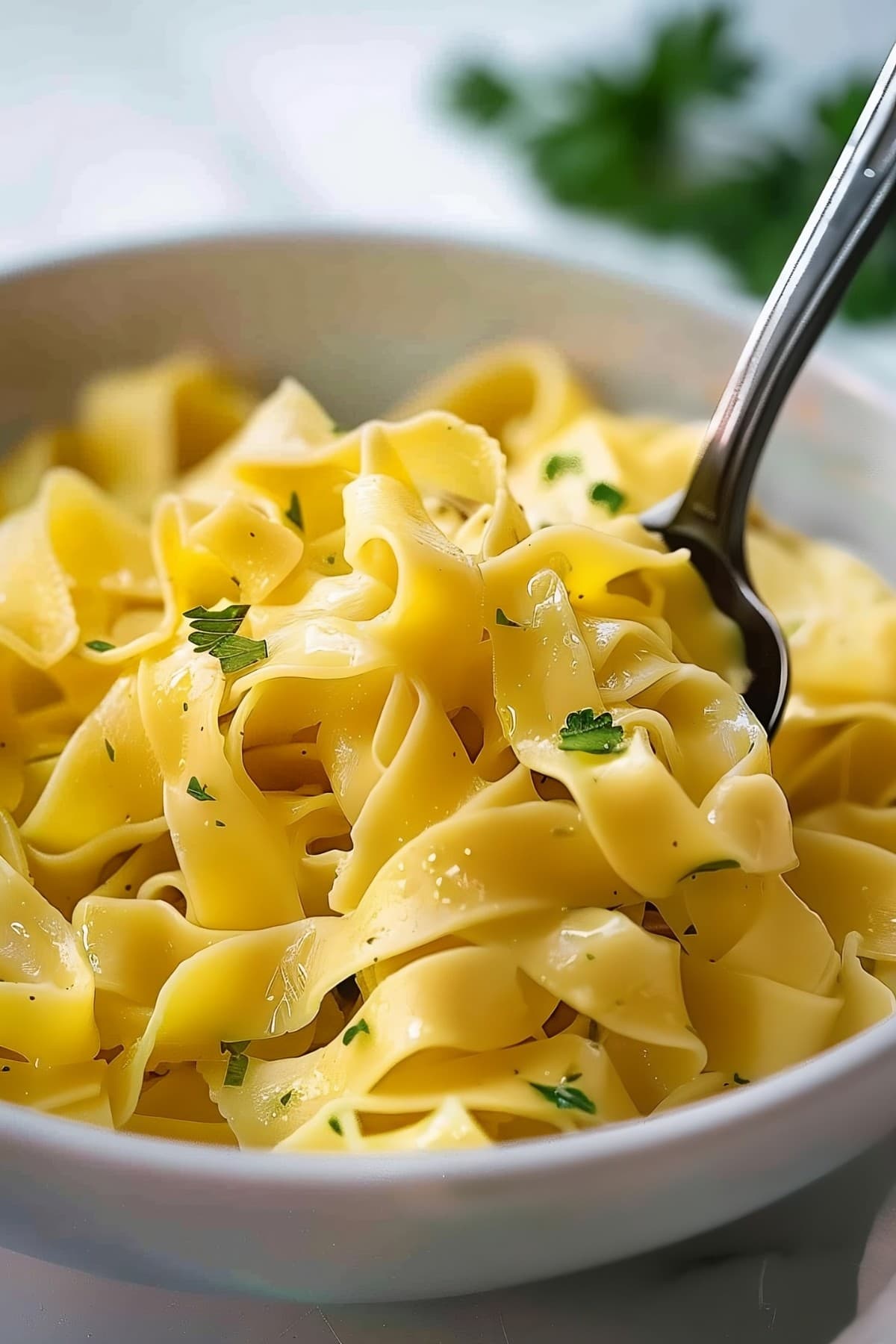 Irresistible Amish egg noodles, offering a delicate flavor and tender bite in every spoonful