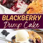 Blackberry dump cake.