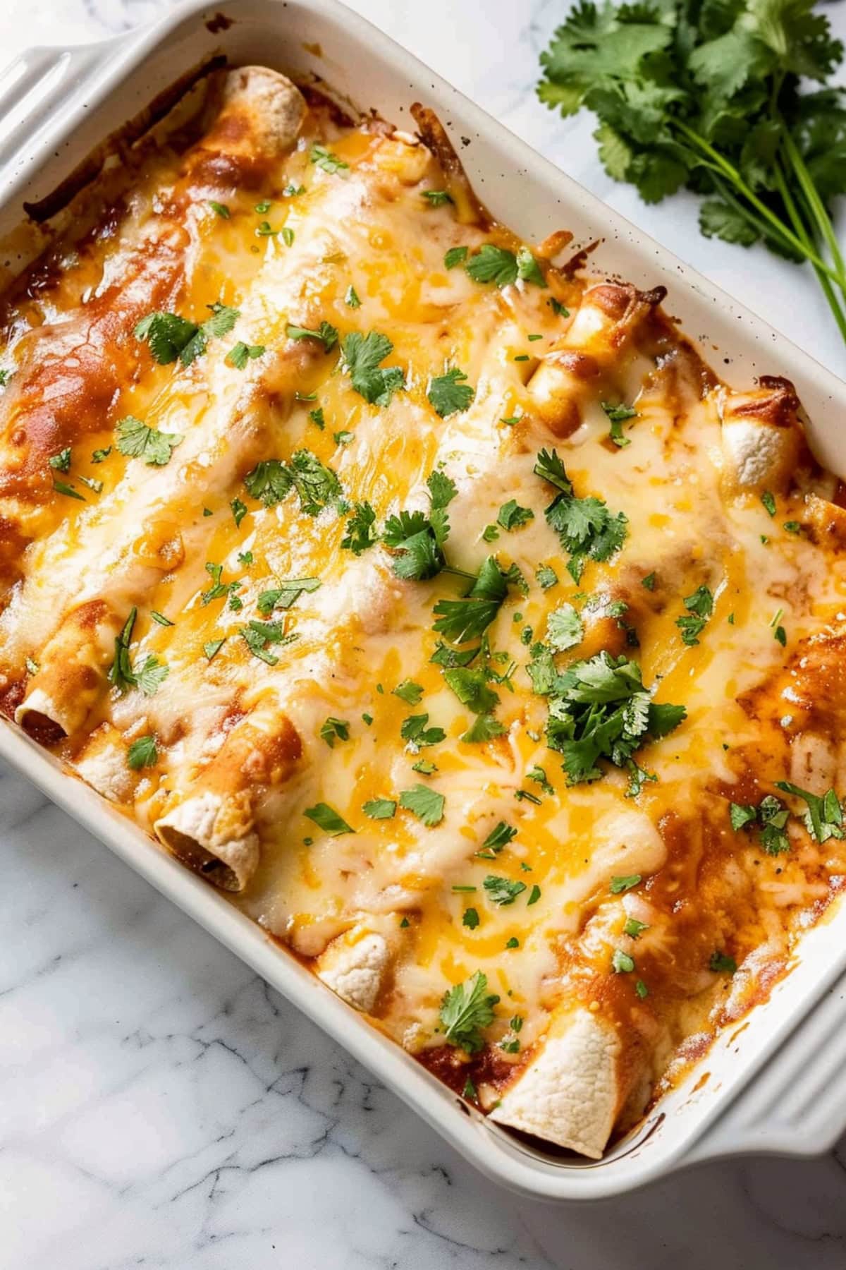 Cheesy chicken enchiladas with melted cheese and sauce.
