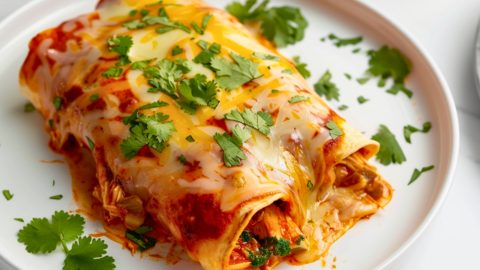 Serving of chicken enchiladas in plate.