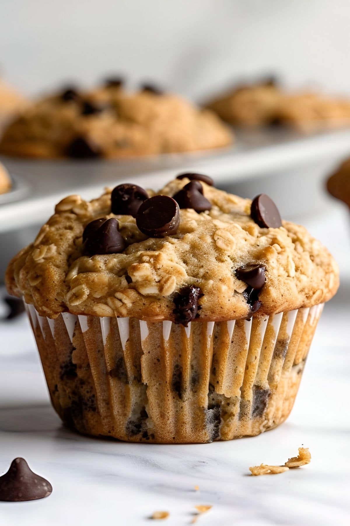 Close up of Chocolate Chip Oatmeal Muffin with Tray of Chocolate Chip Oatmeal Muffins in the Background