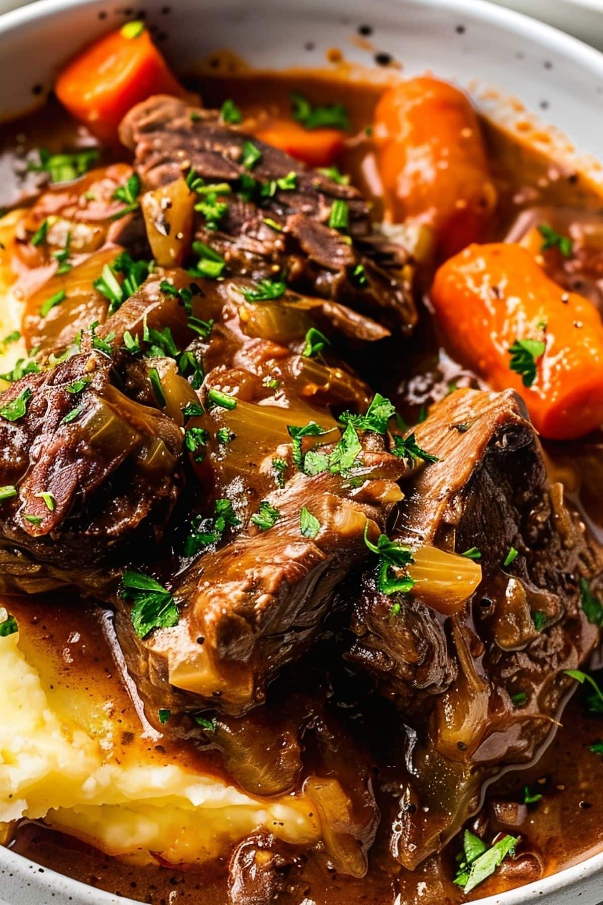 Super Close Up Guinness Beef Stew with Meaty Chunks of Succulent Beef, Carrots, and Parsley over Mashed Potatoes