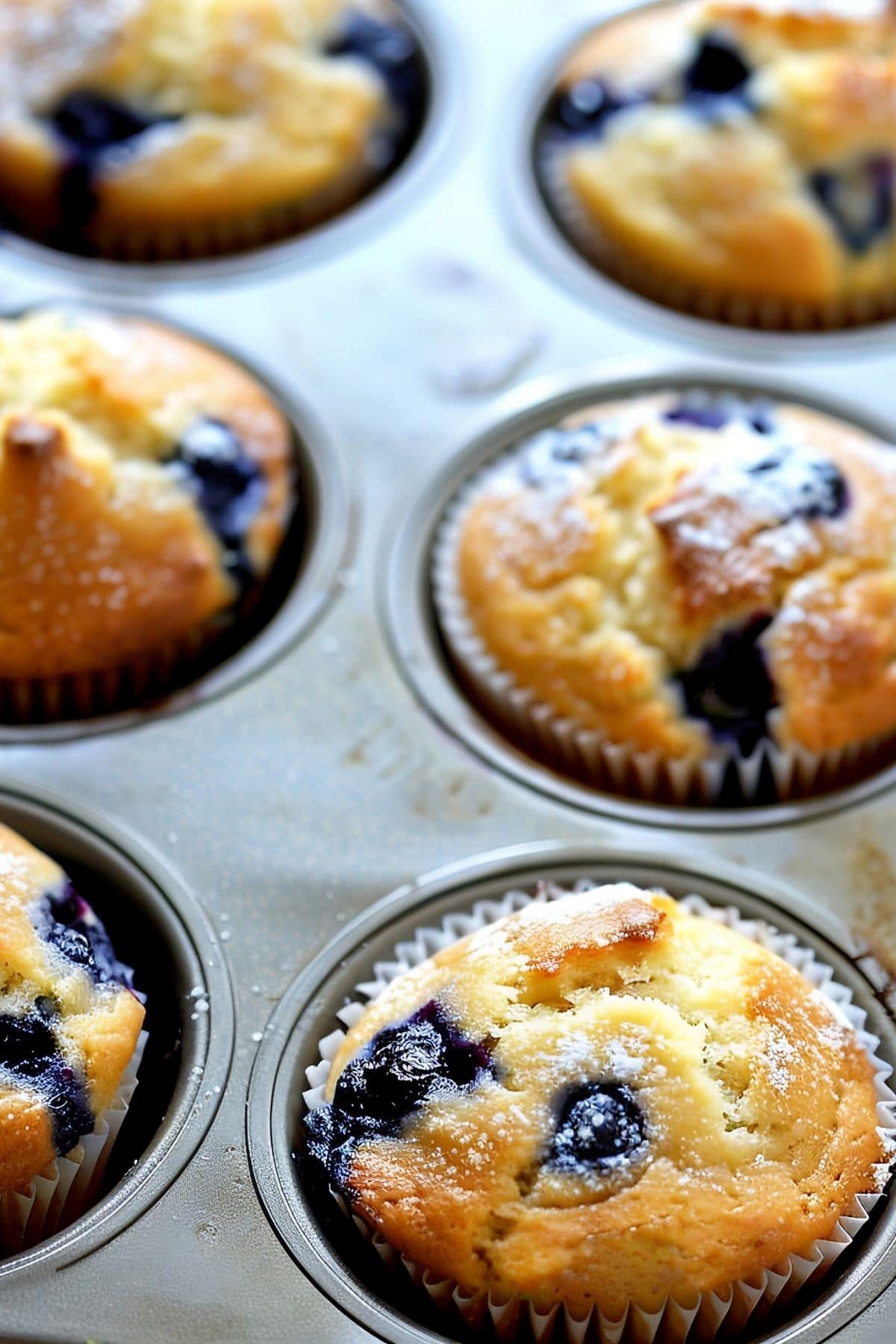 Close Up of Lemon Blueberry Muffins Cooling in a Muffin Tin