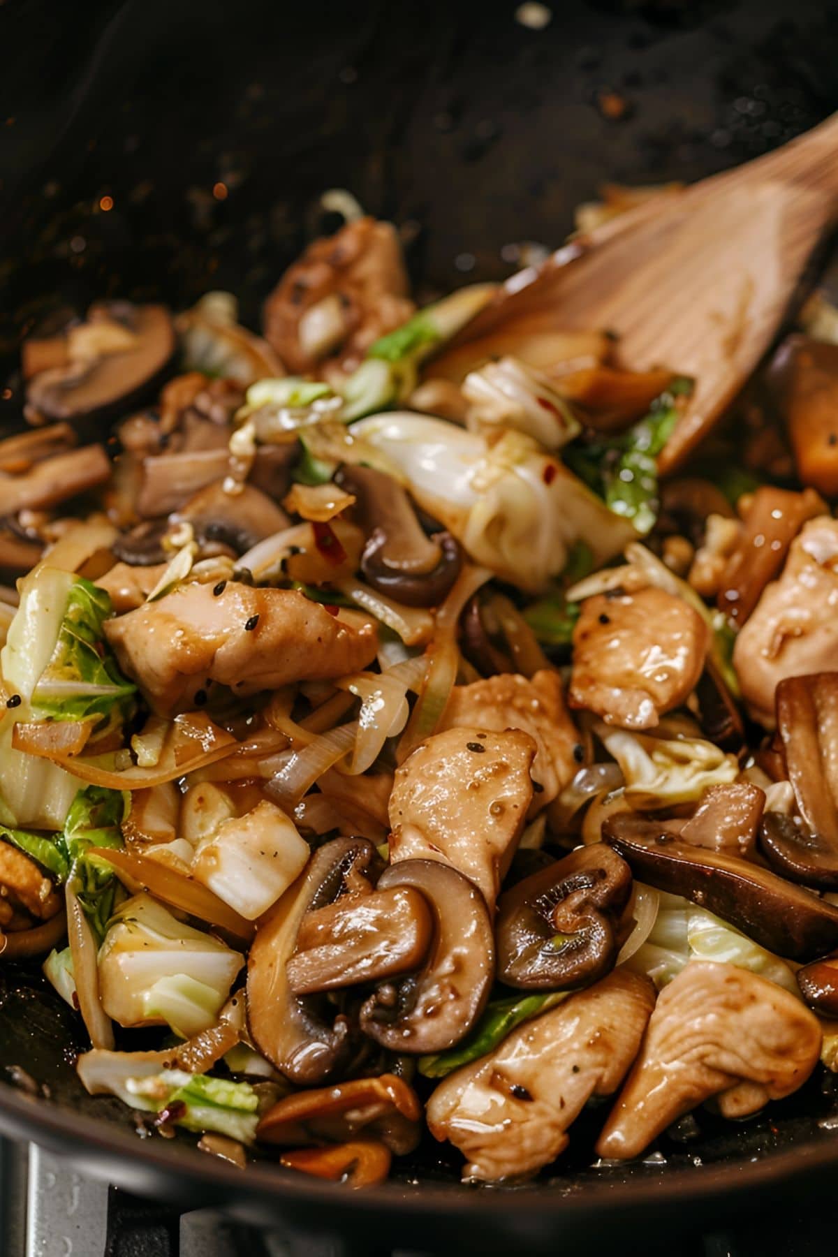 Close Up of Moo Shu Chicken -Chicken, Mushrooms, Cabbage, Onions, Sesame Seeds, and Sauce- in Cast Iron Pan with Wooden Spoon