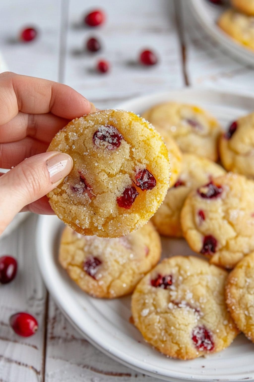 Orange Cranberry Cookies - Insanely Good Orange Cranberry Cookies - Insanely Good