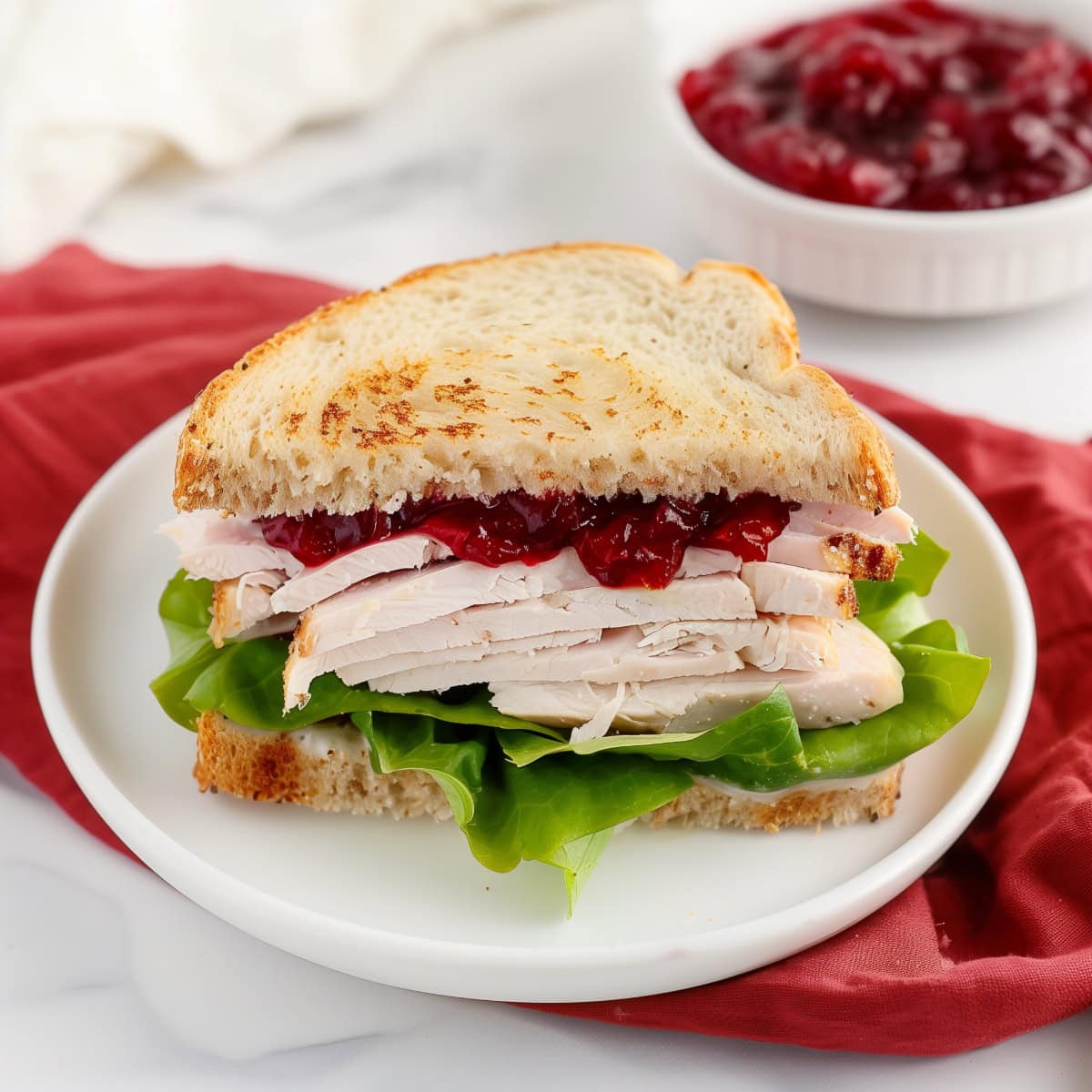 Sliced turkey cranberry sandwich with lettuce in a white plate, close-up.
