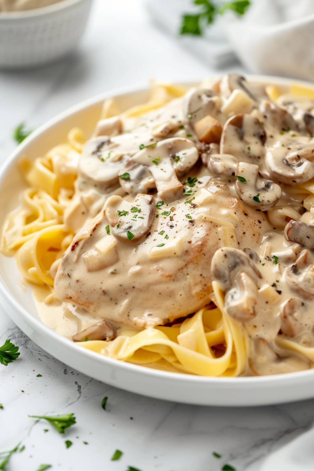Chicken stroganoff served with egg noodles on a white plate.
