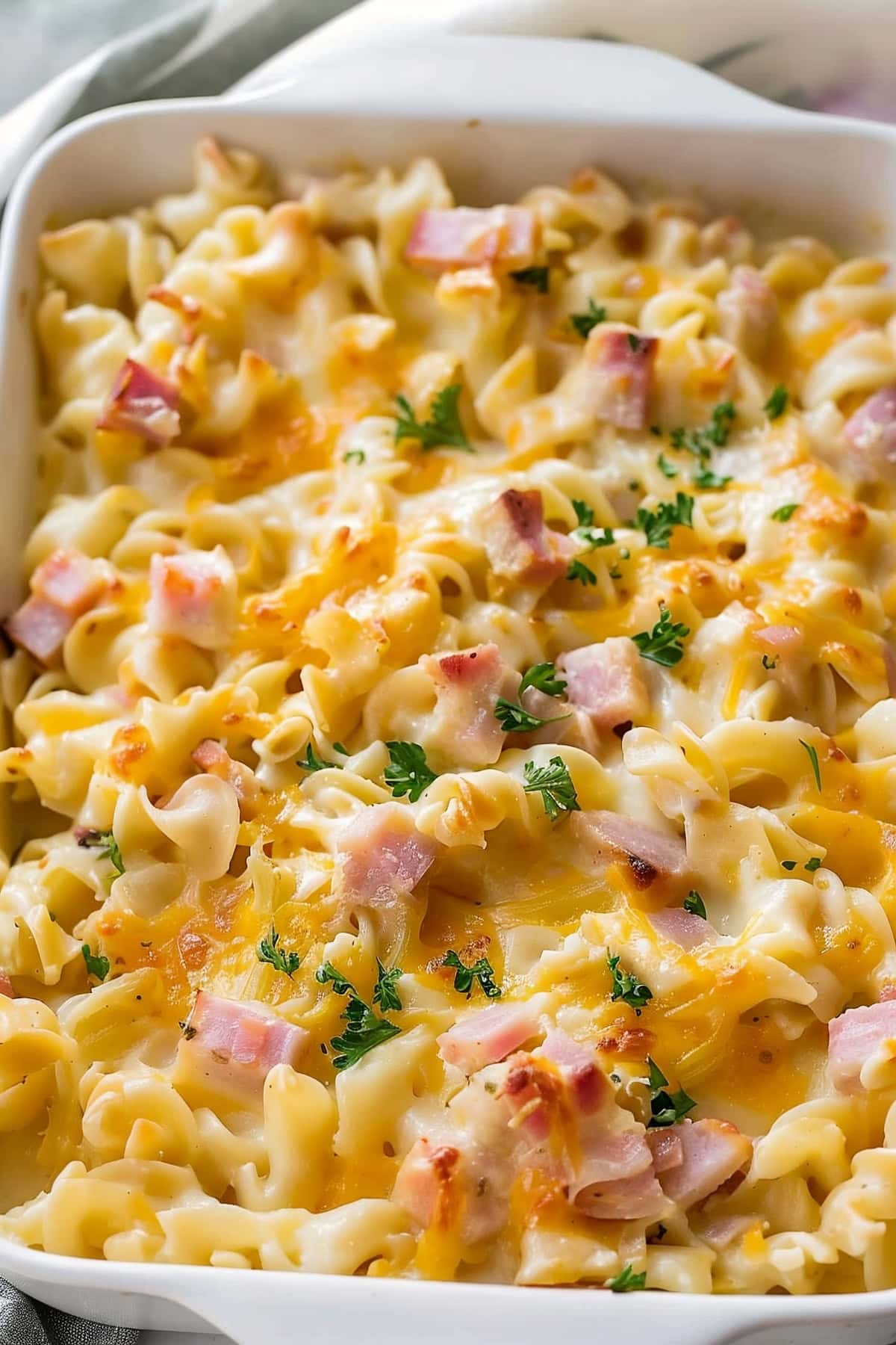 A white dish of tender egg noodles and savory chunks of ham.