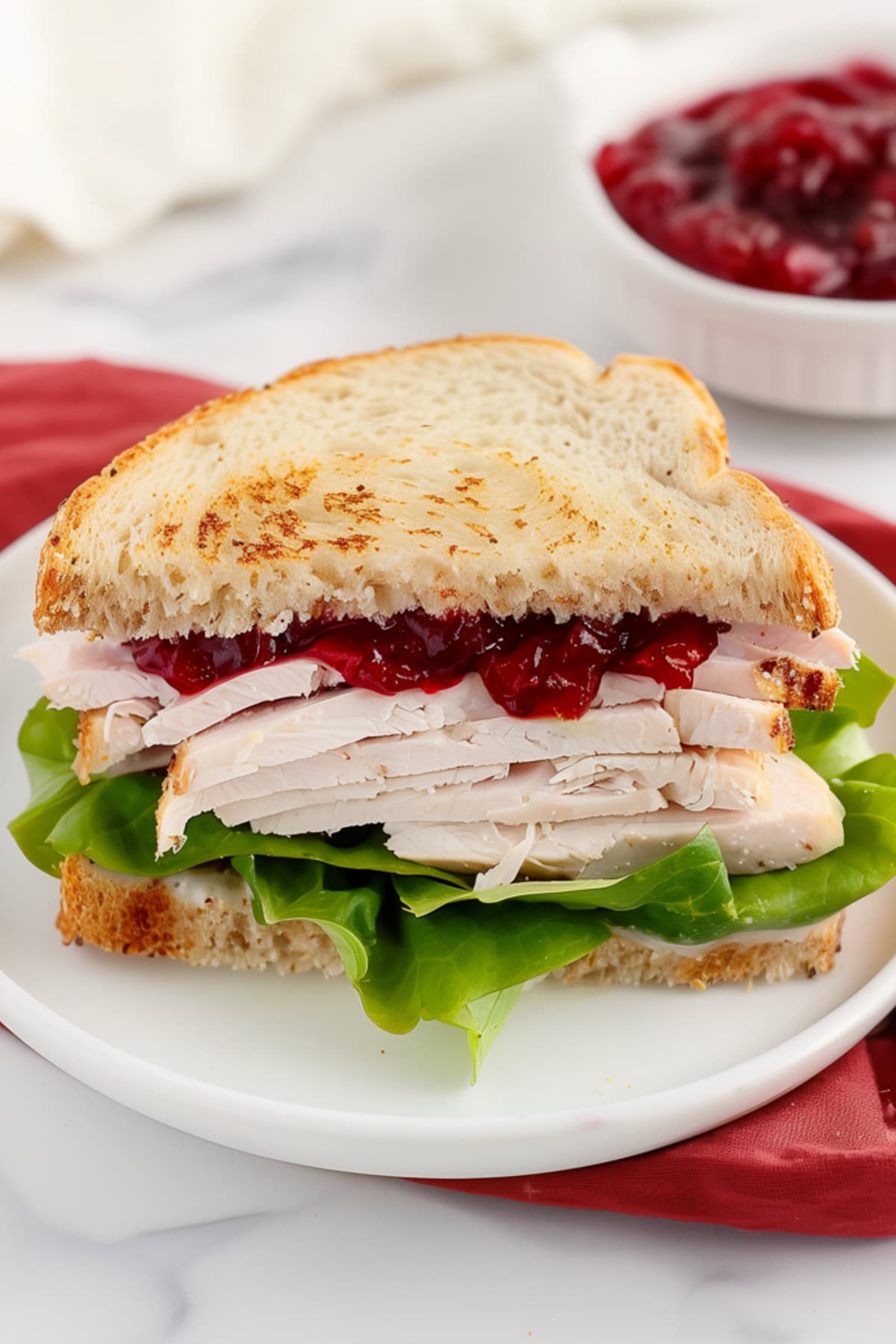 Turkey sandwich with lettuce and cranberry sauce on a white plate. 