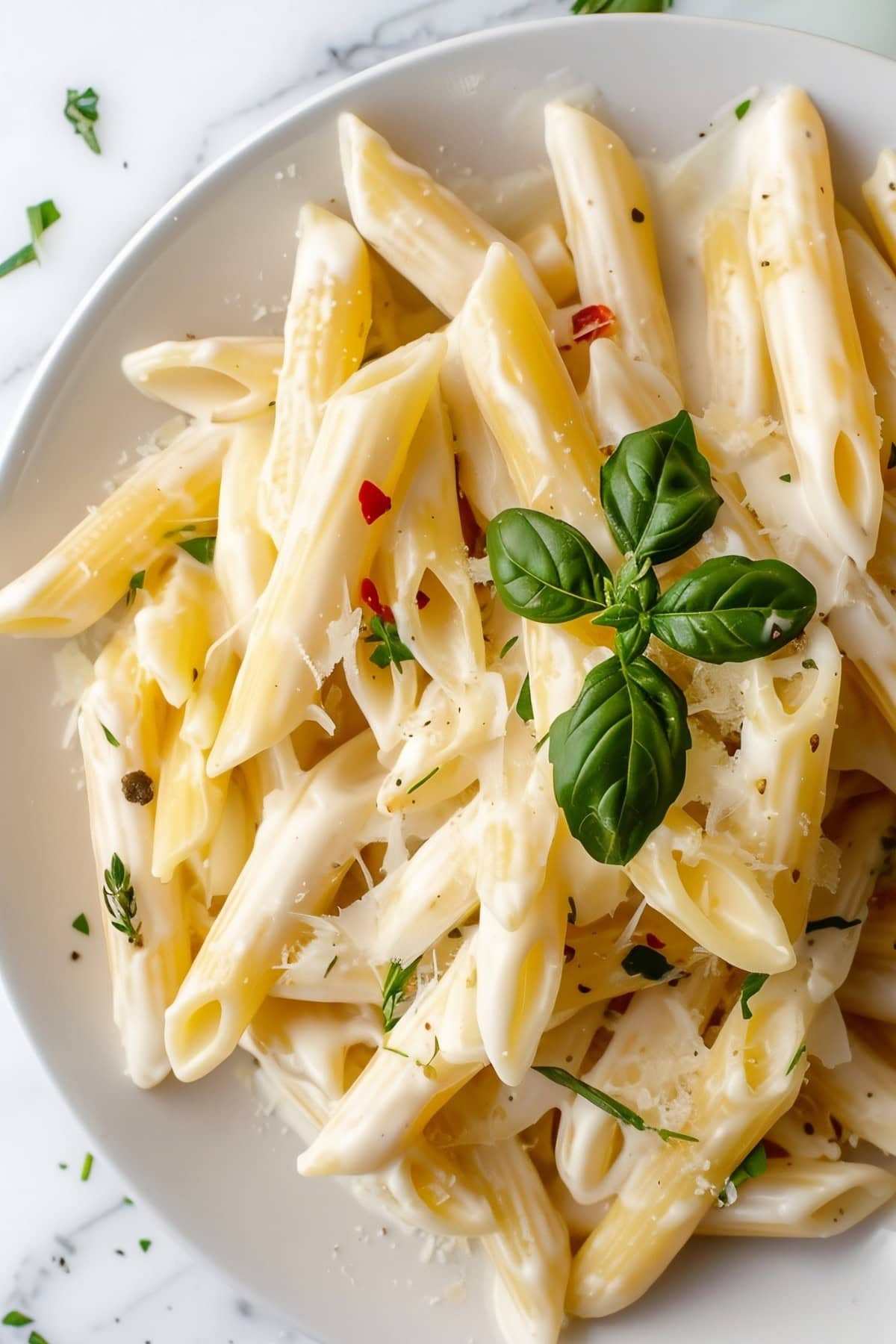 Cream Cheese Pasta made with cream cheese, Parmesan, garlic in creamy sauce served on a white plate.