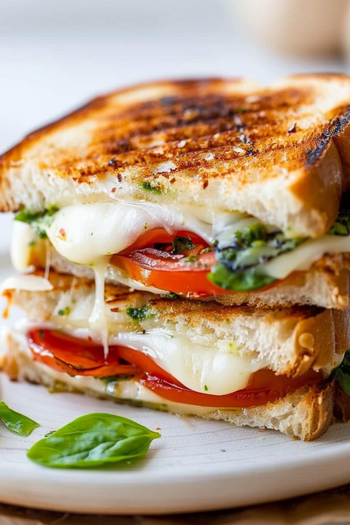 Sliced in half grilled cheese sandwich with mozzarella cheese, tomato, basil leaves and pesto.