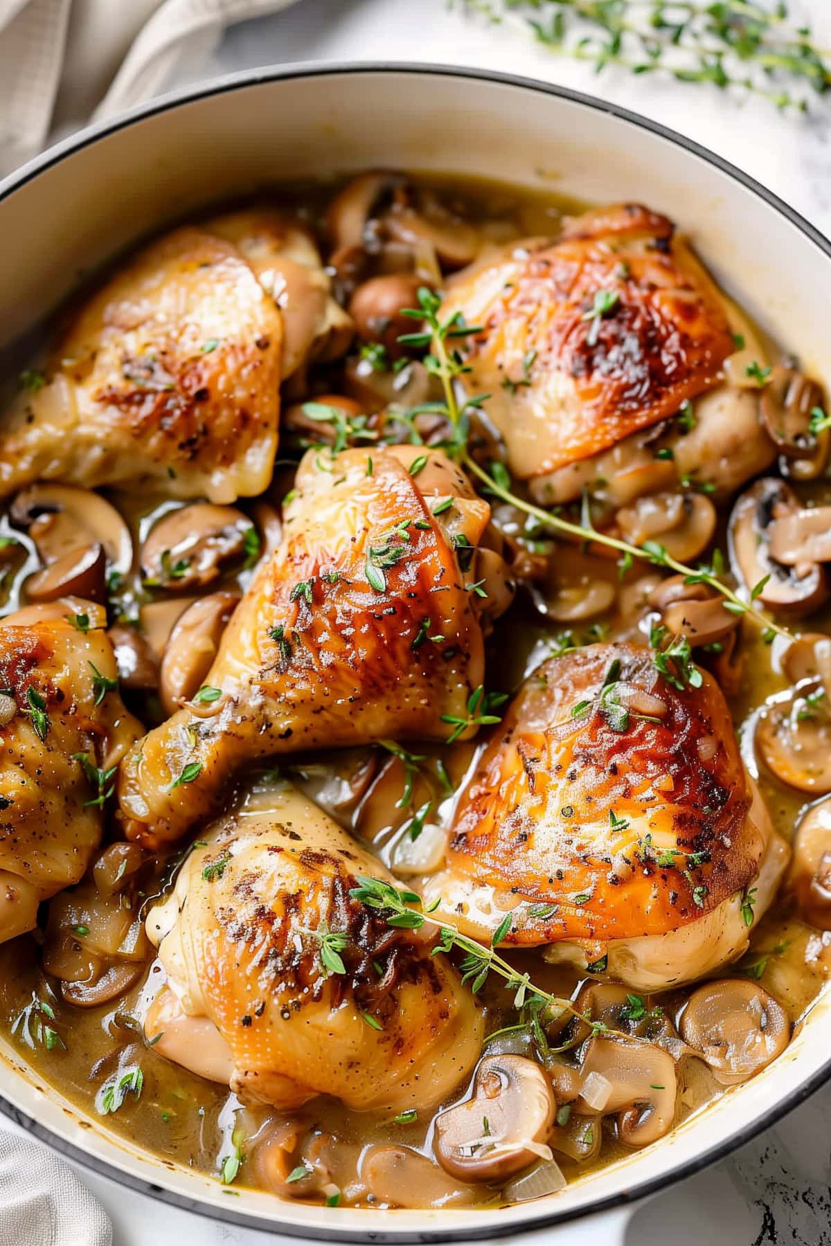 Chicken Fricassee with Mushroom, Onions and Thyme, Close-up