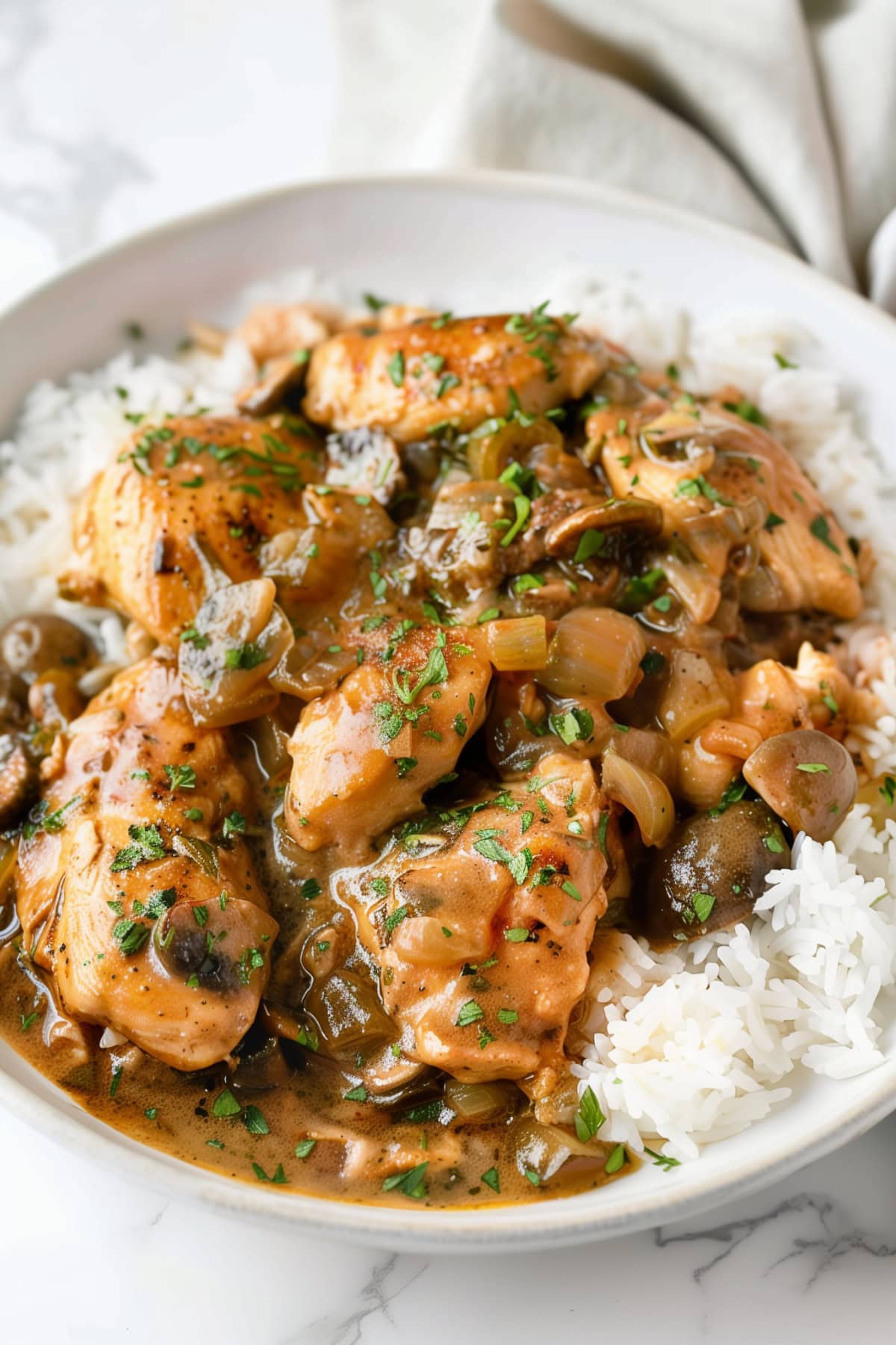 Chicken fricassee served with rice in a white plate.