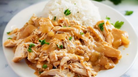 Shredded chicken breast cooked with gravy served with white rice.