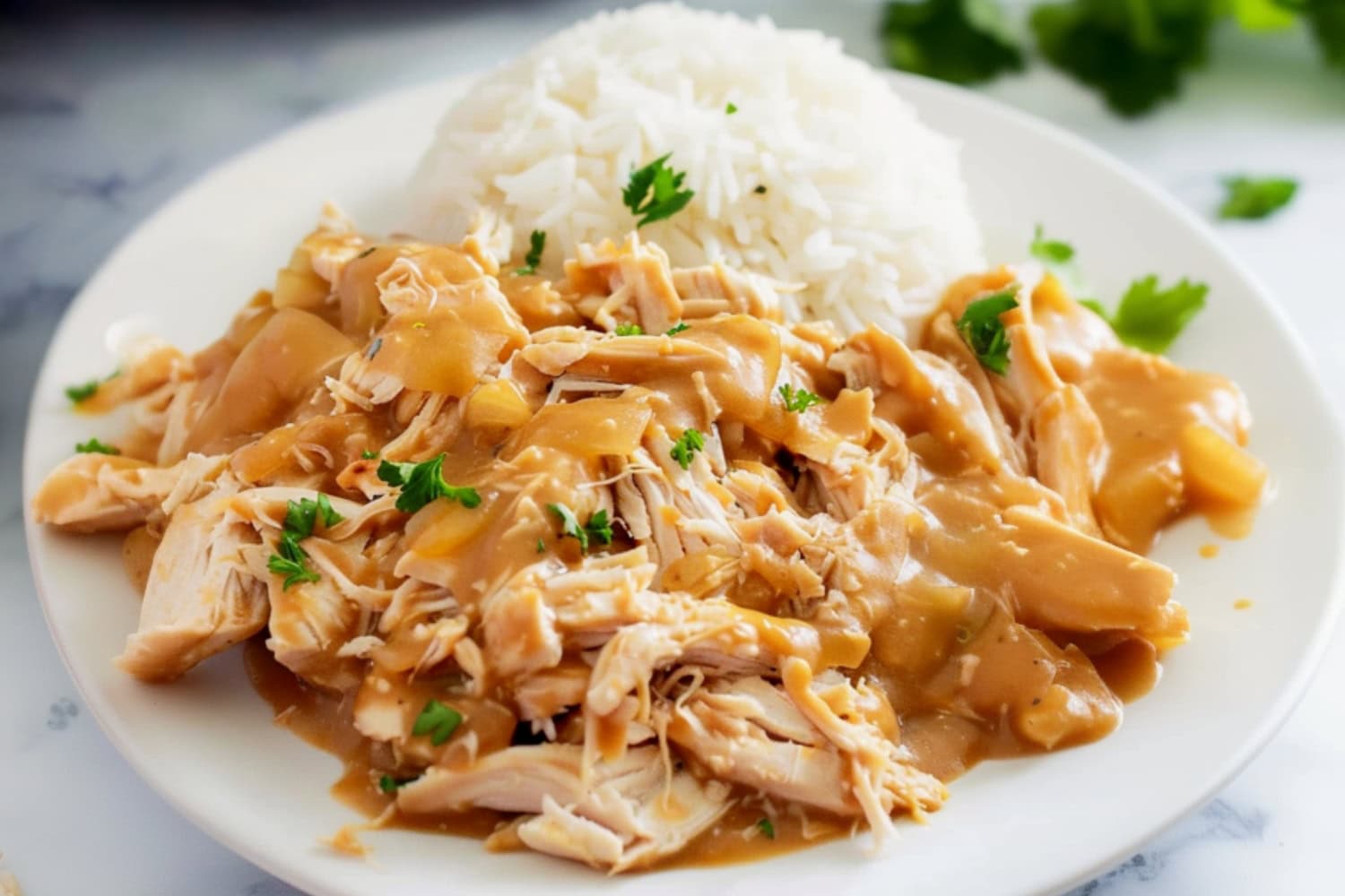 Shredded chicken breast cooked with gravy served with white rice.