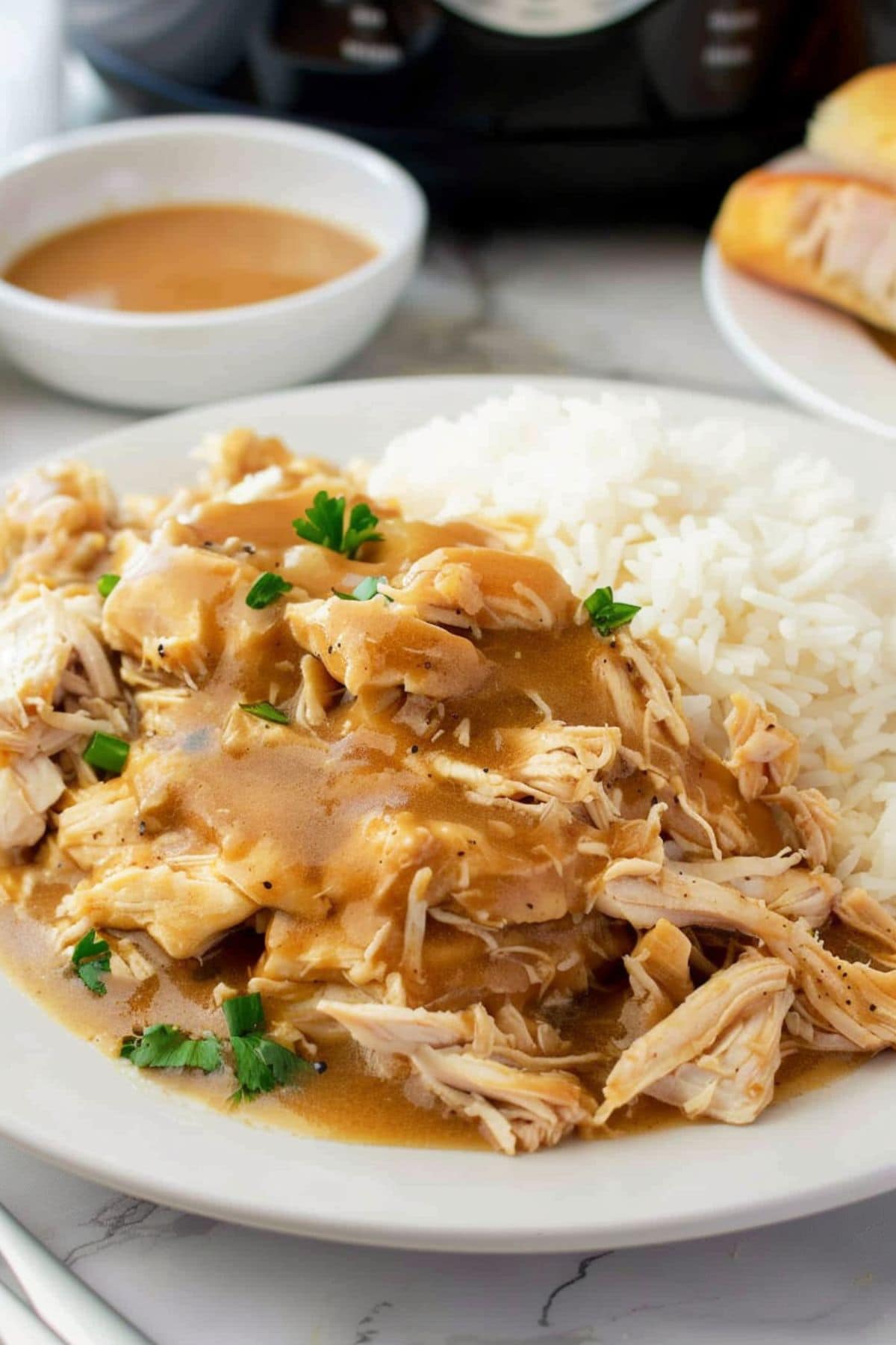 Shredded chicken served with rice and gravy.