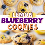 Lemon Blueberry Cookies