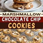 Marshmallow Chocolate Chip Cookies