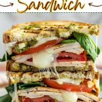 Turkey pesto sandwich